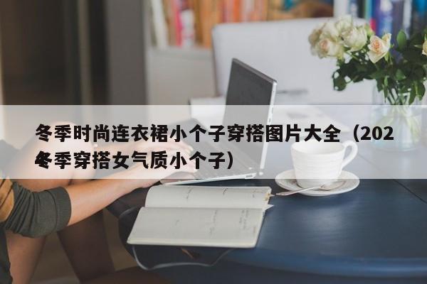 冬季时尚连衣裙小个子穿搭图片大全（2024冬季穿搭女气质小个子）